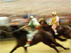Il palio